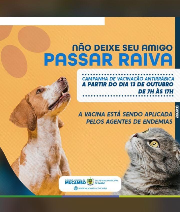 Prefeitura abre campanha Antirrábica