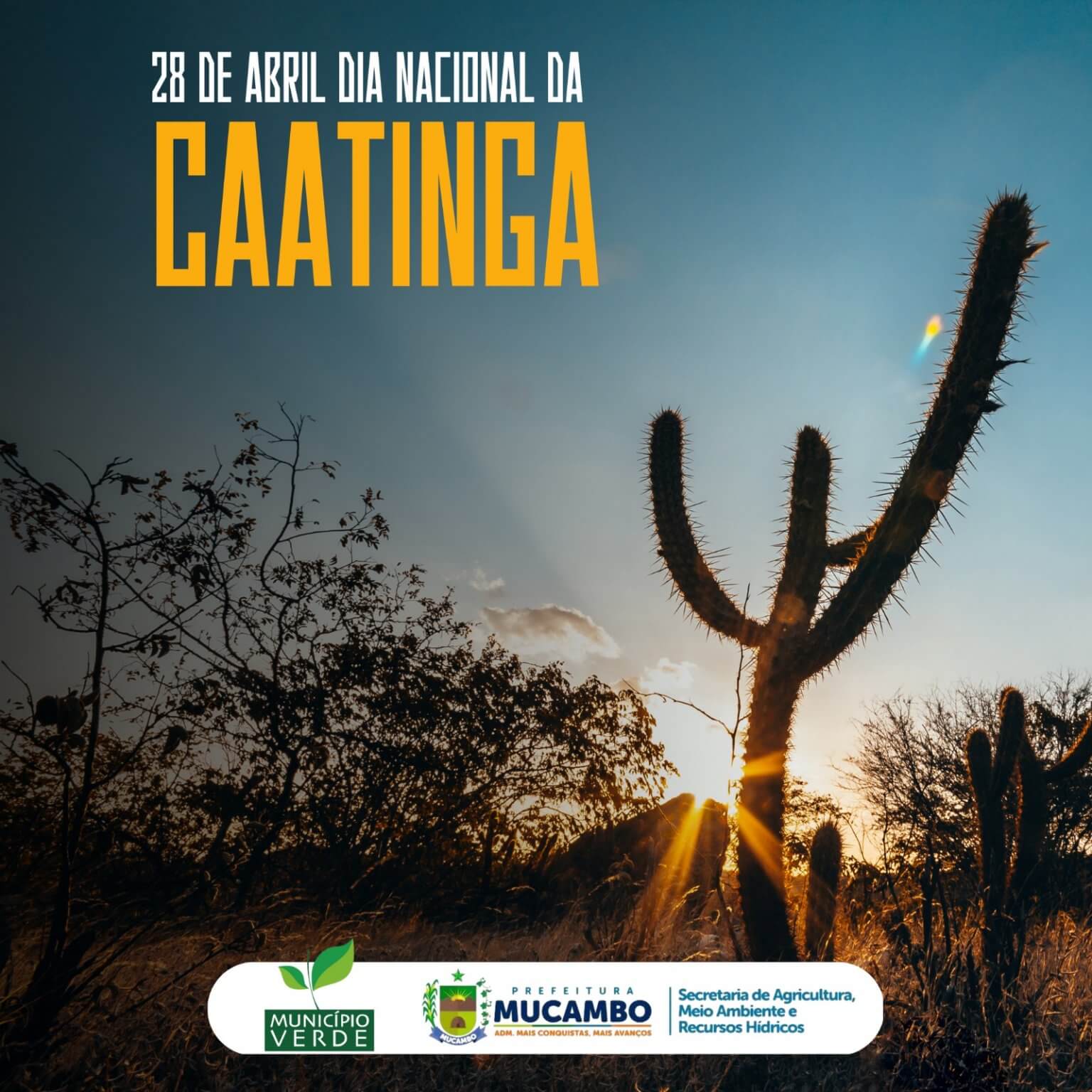 Hoje 28 De Abril É Comemorado O Dia Nacional Da Caatinga Prefeitura De Mucambo 7377