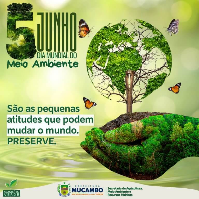 DIA DO MEIO AMBIENTE - Prefeitura de Mucambo