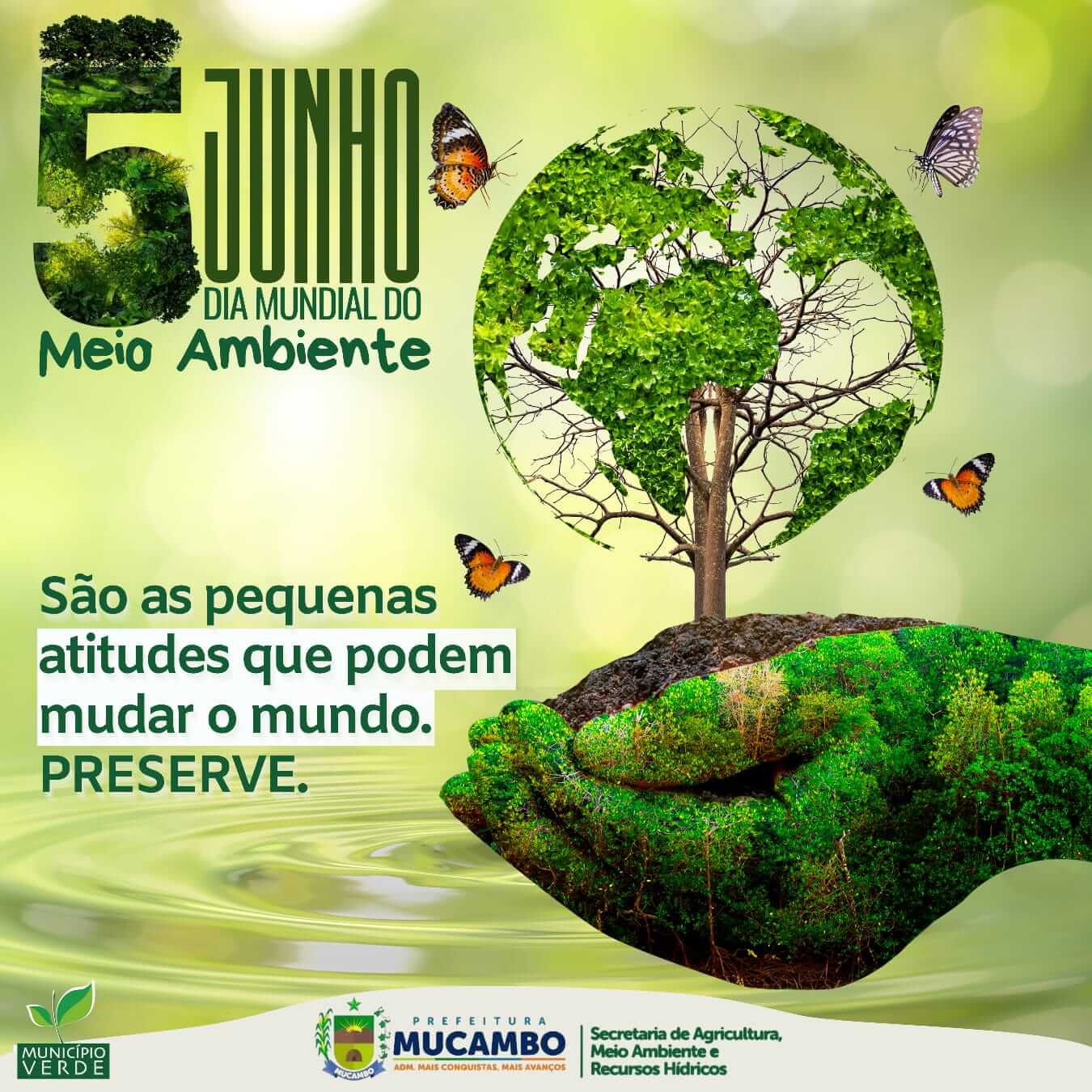 Dia Do Meio Ambiente Prefeitura De Mucambo 2231